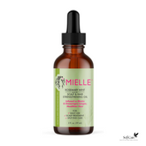 Mielle Organics Rosemary Mint Scalp & Hair Strengthening Oil for All Hair Types, 2 Ounce